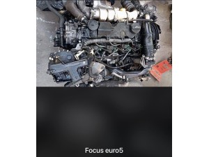 Ford Focus Euro 5 çıkma motor