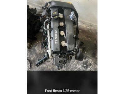 Ford Fiesta 1.25 çıkma motor Ford Fiesta 1.25 çıkma motor