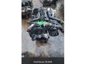 Ford Focus 1.6 DV çıkma motor